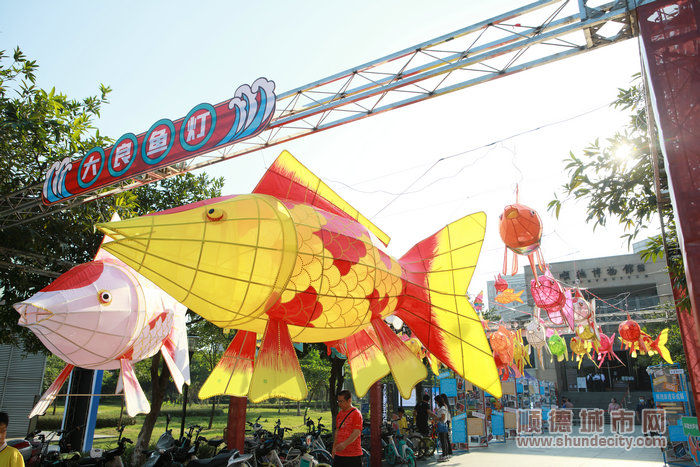 1608164824253342.jpg 2.jpg