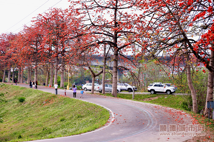 shundeplus/images/article/2023/03/26/4e65a20230326175744665588.jpg 2_副本.jpg