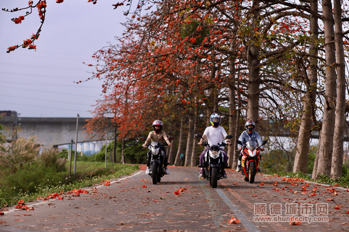 shundeplus/images/article/2023/03/26/d955520230326175758736302.jpg 5_副本.jpg