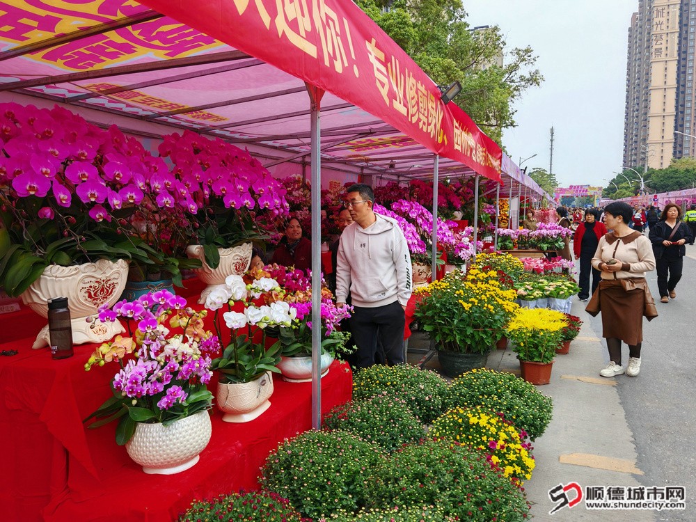 1774166039581420.jpg 2.jpg